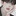 유하윤