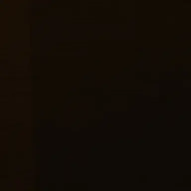 Profile image of 최범귲