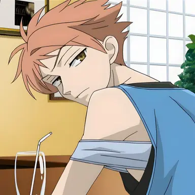 Profile image of Hikaru Hitachiin