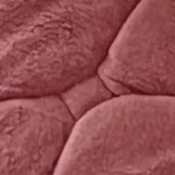 Profile image of 아름