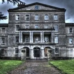 Profile image of Insane Asylum