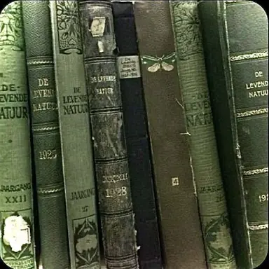 Profile image of 정 공룡