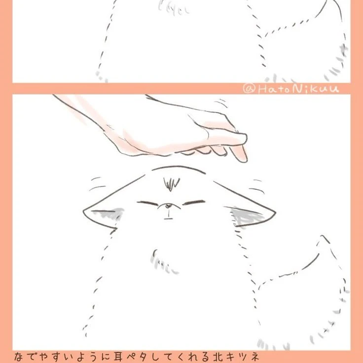 키타 신스케