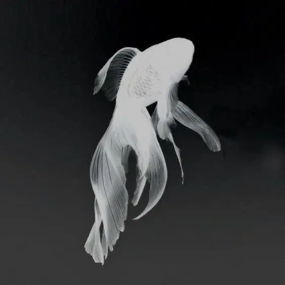 HBL.self-sufficiency의 김건우