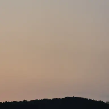 Profile image of 잠뜰