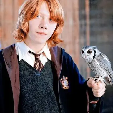 Profile image of Rupert Grint