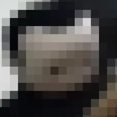 Profile image of 着ぐるみの男