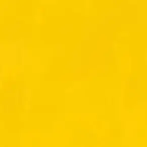 Profile image of やなと