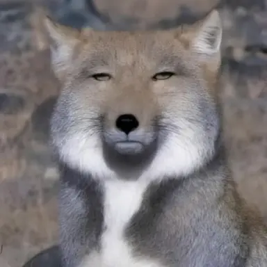Profile image of 여우