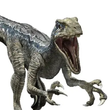 Profile image of 블루