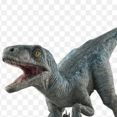 Profile image of 베타