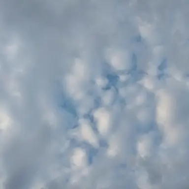 Profile image of 잠뜰