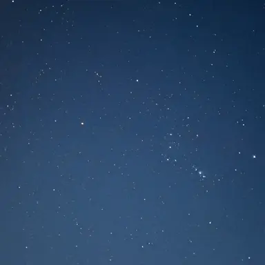 Profile image of 윤청아