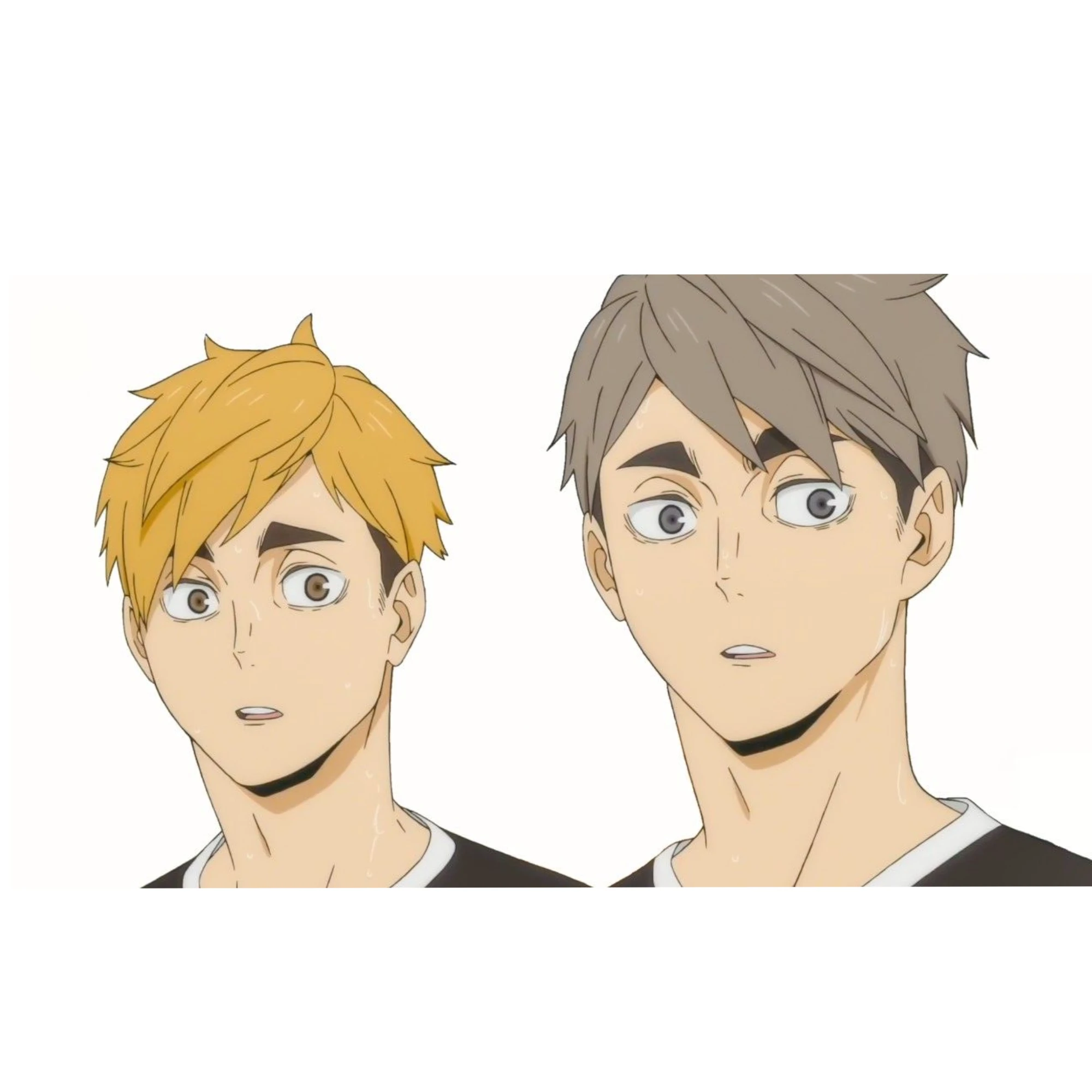 宮侑と宮治