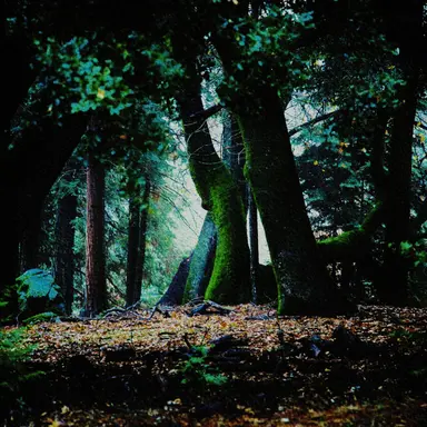 Profile image of 나의 속마음