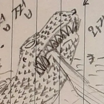 Profile image of ロニー