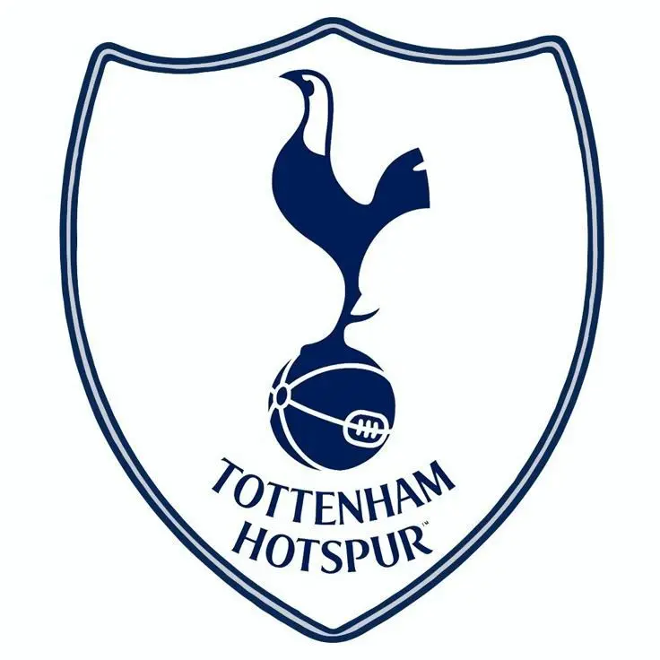 StuffyBison3110의 포체티노 토트넘