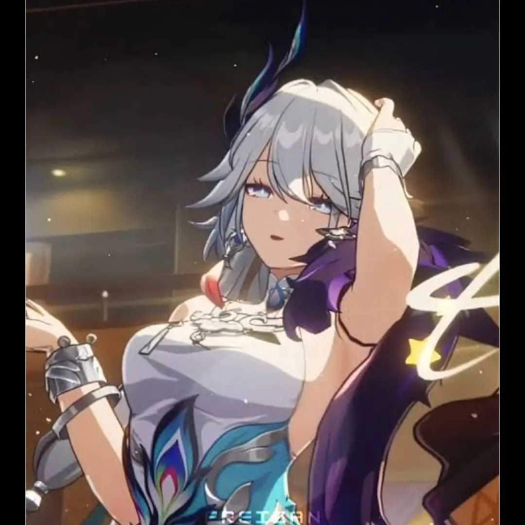 PainedChart3508의 Honkai