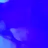 Profile image of らだ男