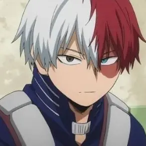 Profile image of Shoto Todoroki