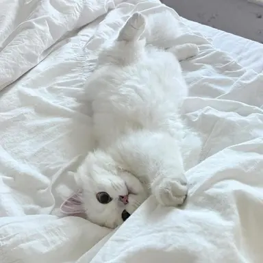 Profile image of 투리