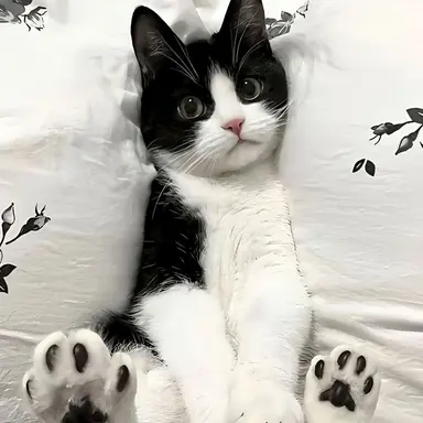 Profile image of 카누