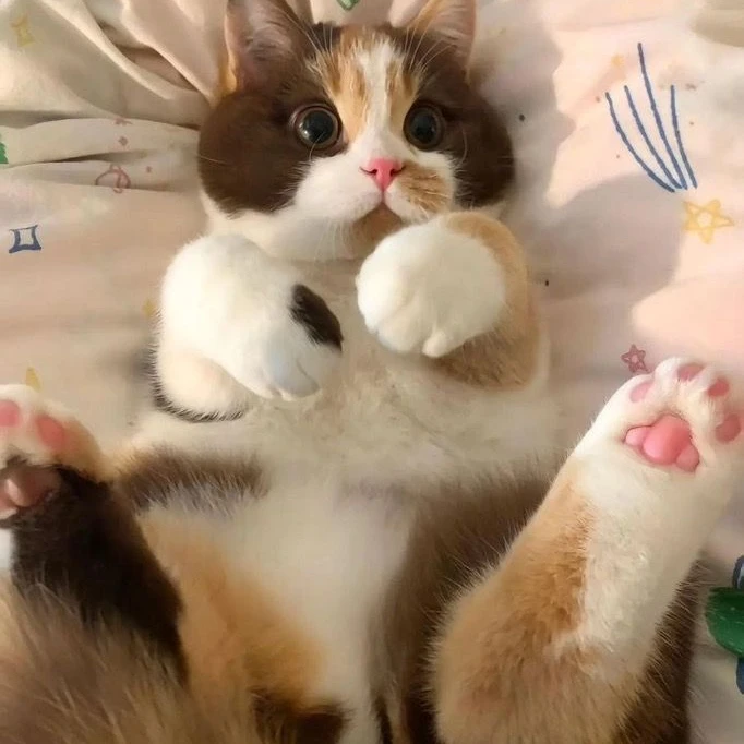 베리