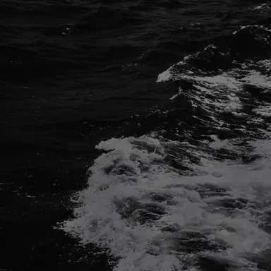 Profile image of 우융