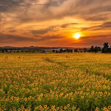 Profile image of 쪼만