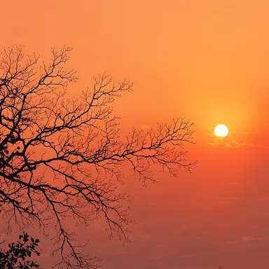 Profile image of 코마