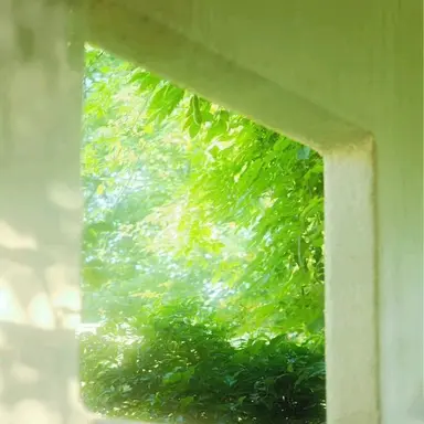 Profile image of 예엥