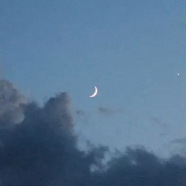 Profile image of 티푸