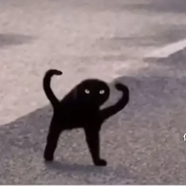 Profile image of キノコを食うカズヤ