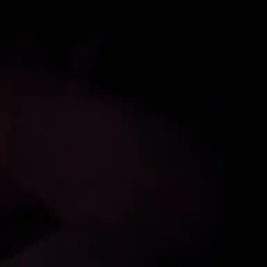 Profile image of 우왁굳