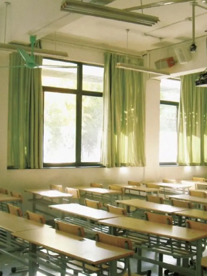 _174의 女の子の日