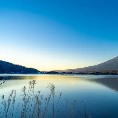 Profile image of ママ