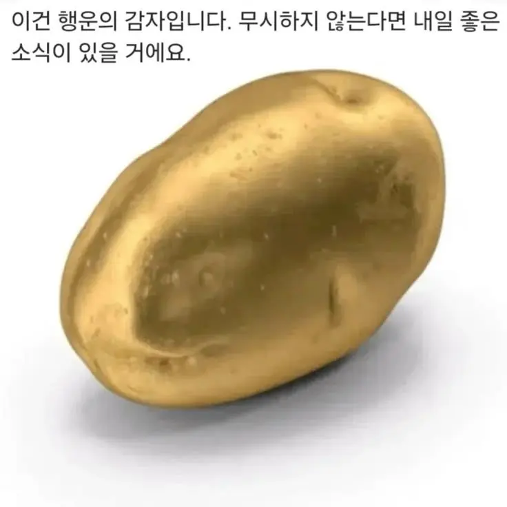 SpryWeed8551의 영어학원에서 살아남기! (갠용)+여우