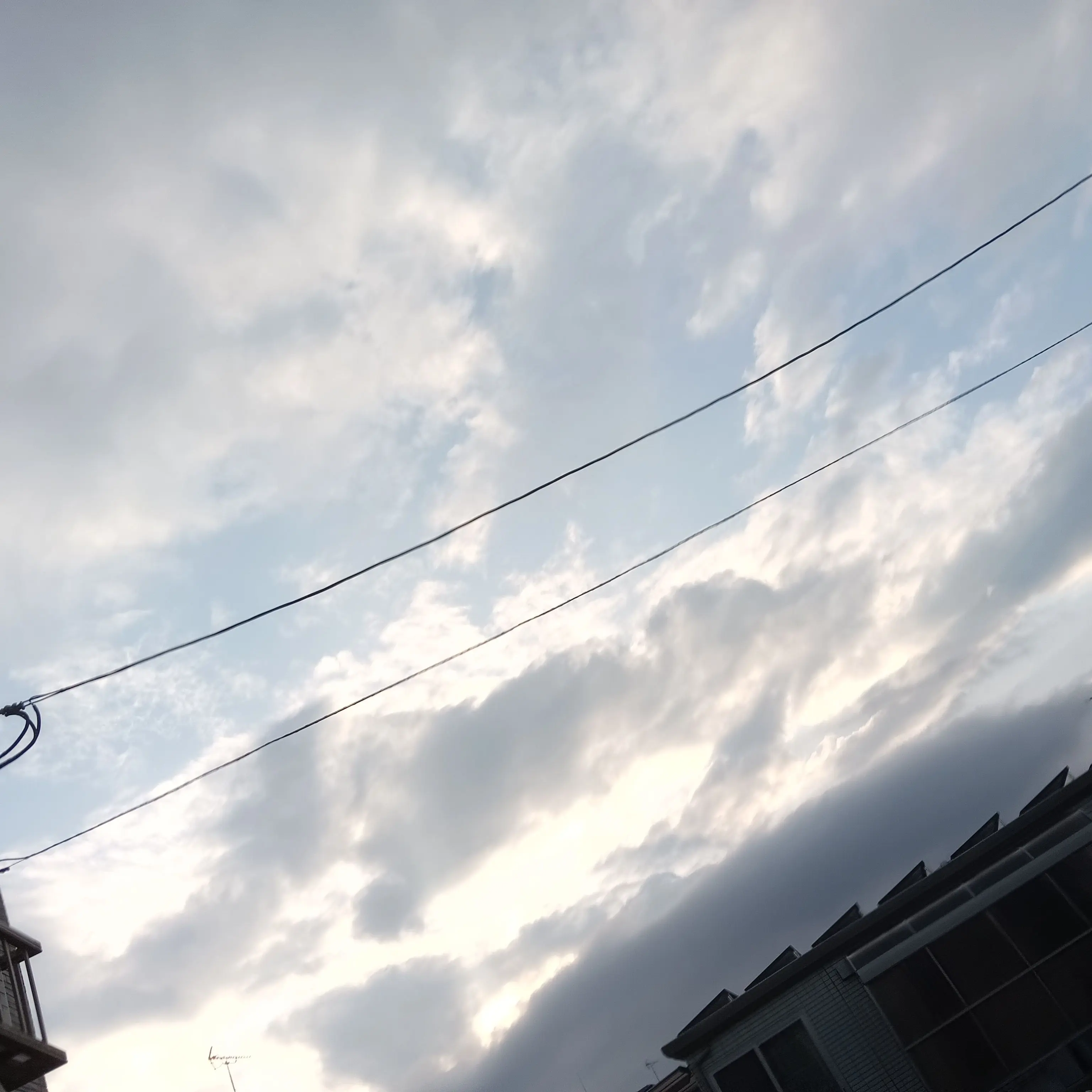 FolksySlur7718의 もうただの幼なじみはいや……！