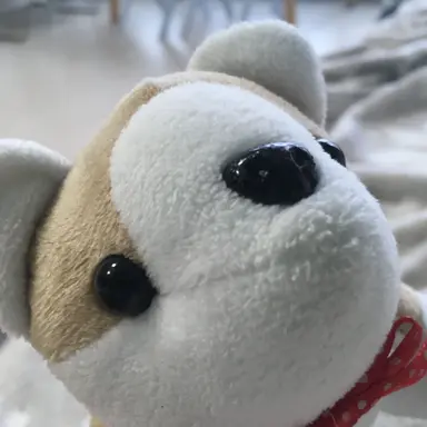 Profile image of 고강이