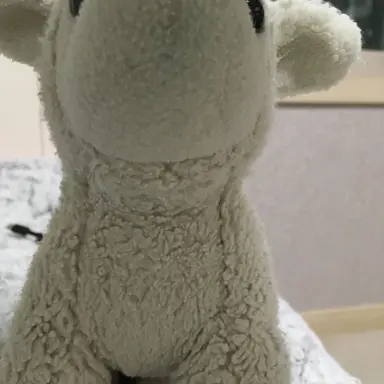 Profile image of 박하양