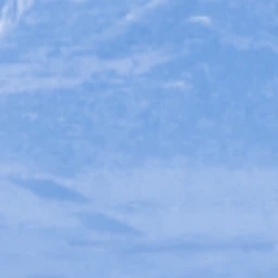 しん