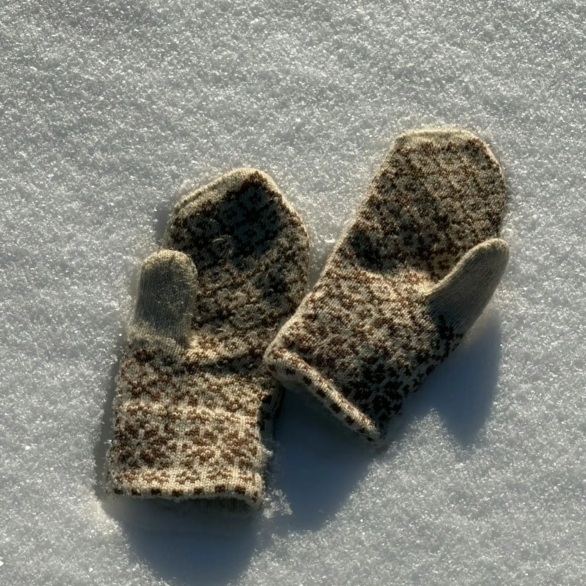 RoomyBrug4813의 동거편 (죠나단 죠스타)