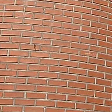 Profile image of 홍지슈