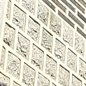 Profile image of 뿌승괁