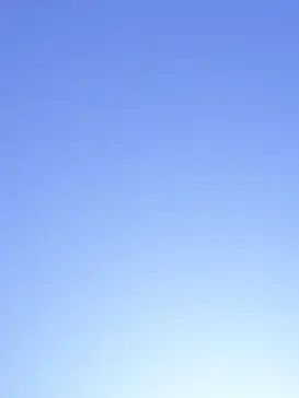 BulkyVest0681의 マフィアと猫