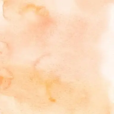 Profile image of 今井文也