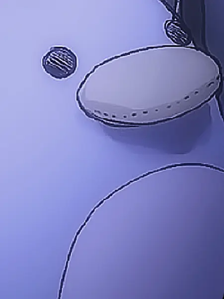 ne_la의 夢と現実───