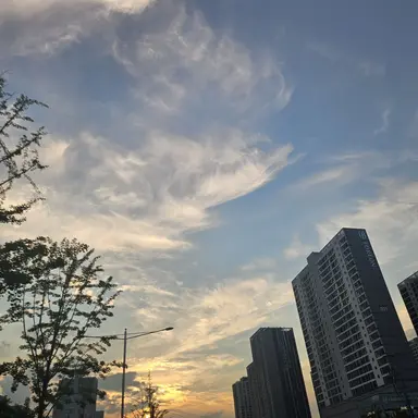 Profile image of 군토
