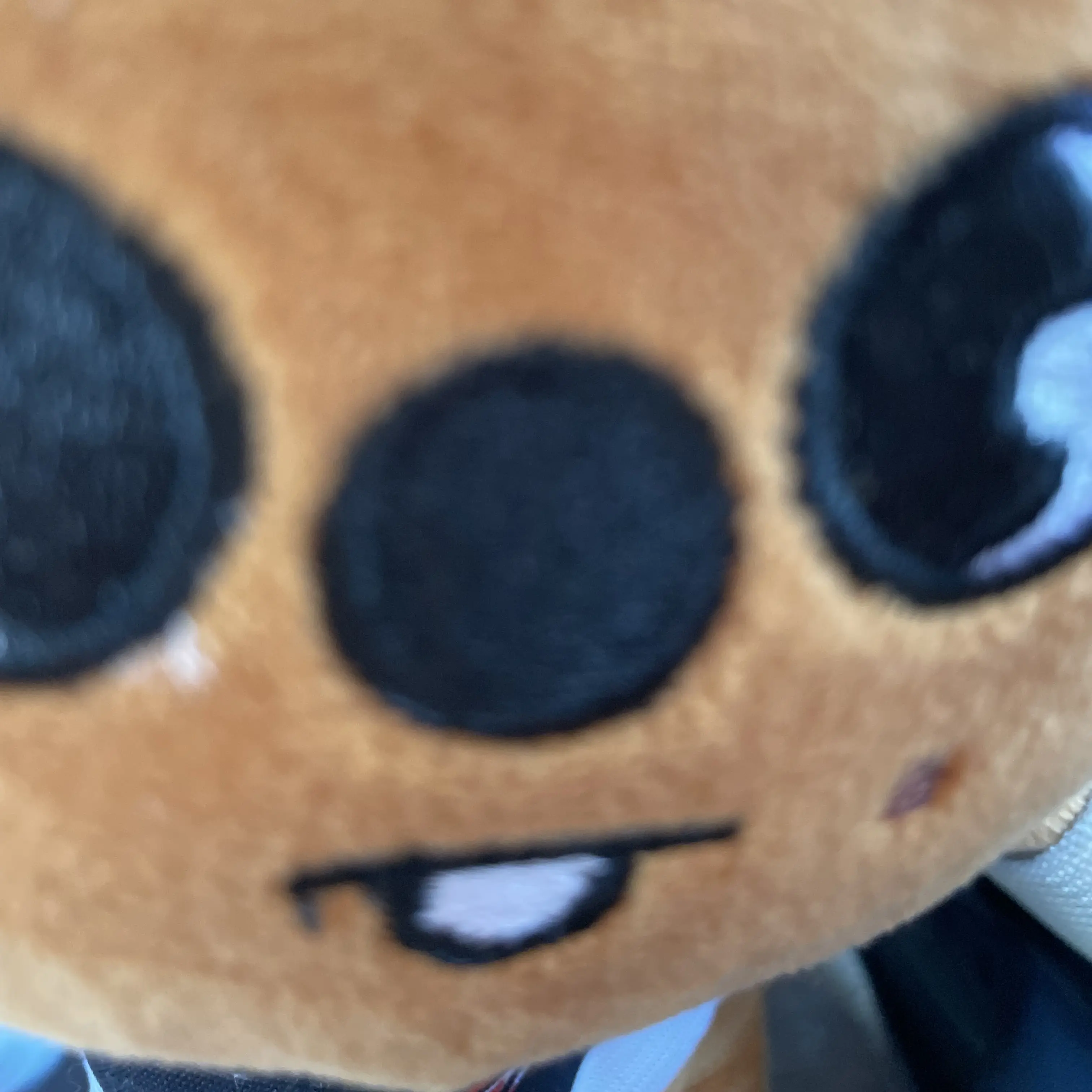 Felix_의 한쿼카