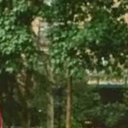 Profile image of 若井滉斗